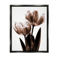 Stupell Modern Tulip Silhouette Duo Botanical & Floral Photography Black Floater Framered Art Print Wall