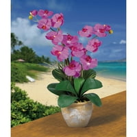 Skoro prirodni dvostruki Phalaenopsis svileni orhidejni aranžman, orhideja