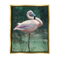 Stupell Industries Flamingo Tropska džungla Životinje i insekti Bojavljenje Zlatno Floater Framed Art