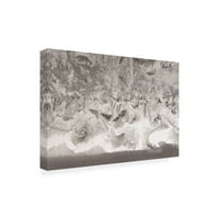 Zaštitni znak likovne umjetnosti mozaik od ledenog kristala umjetnička umjetnost kurt shaffer fotografijama