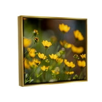 Žuta Tratinčica Wildflower Field Botanička I Cvjetna Fotografija Metalik Zlato Uokvireno Art Print Wall Art