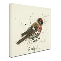 Zaštitni znak Likovna umjetnost' Redpoll ' platna Umjetnost Michelle Campbell